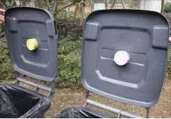 绿城物业服务特色亮点,绿城物业服务四大标准