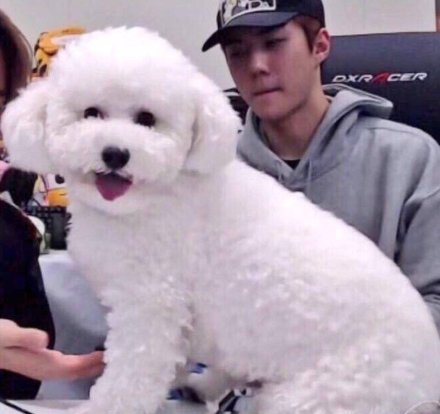 吴世勋对都暻秀撒娇,吴世勋ins里的金俊勉