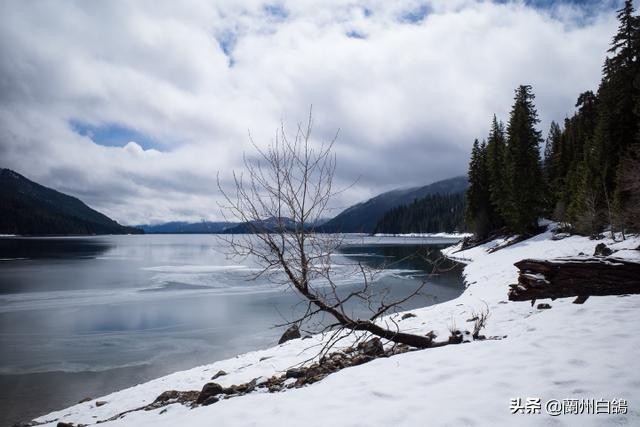 2020年照相机排行榜,2022年值得入手照相机