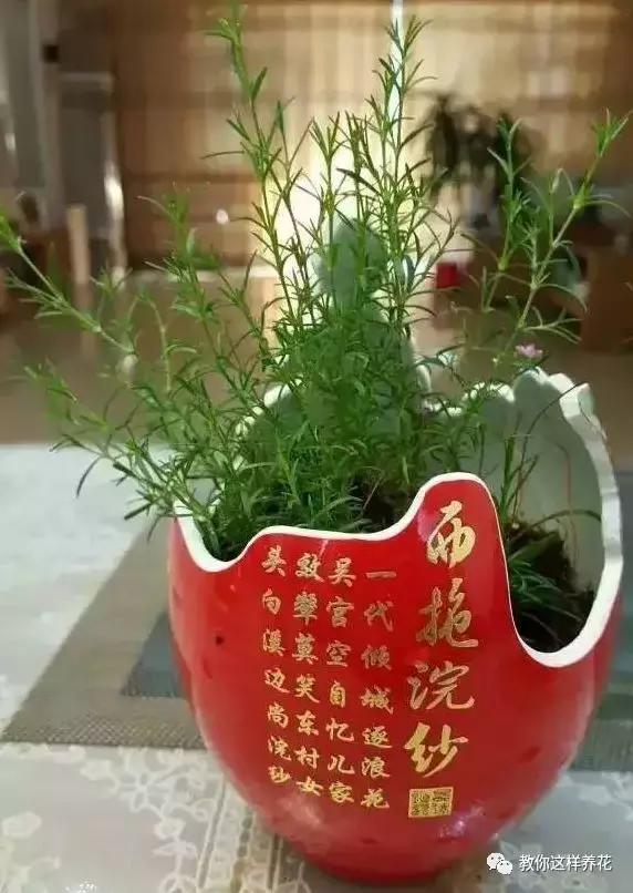 切割陶瓷酒瓶做花盆最简单的方法,没有工具怎么把陶瓷酒瓶弄成花盆