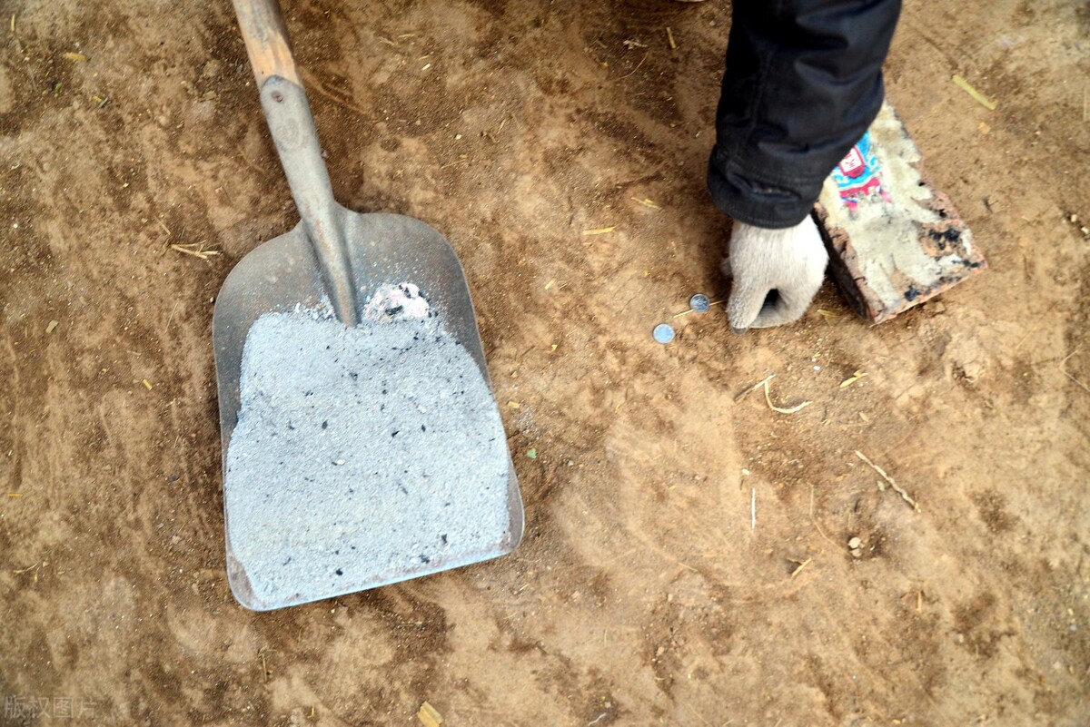 白菜生虫子,别动不动就施药,喷点家里不起眼的小东西也管用