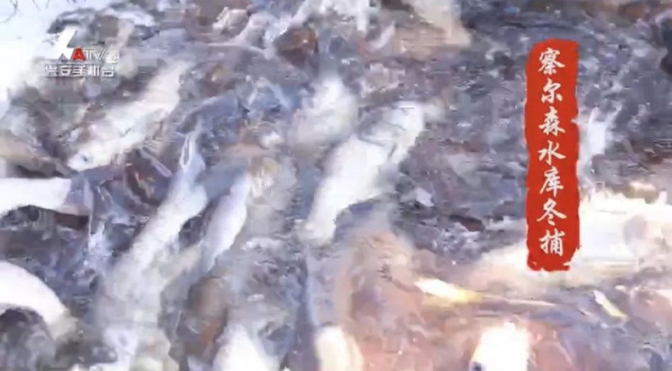 认识兴安盟，让你梦想北方的雪国