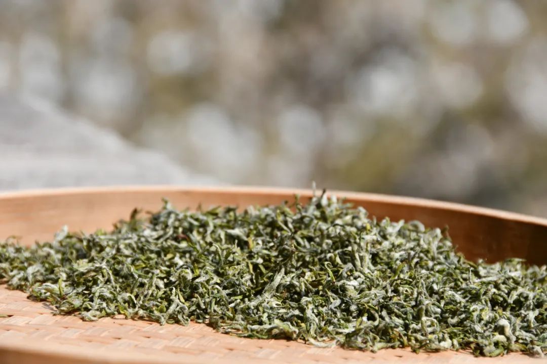 我们争分夺秒加班加点，就是为了奉上今春这第一波蒙顶皇茶！