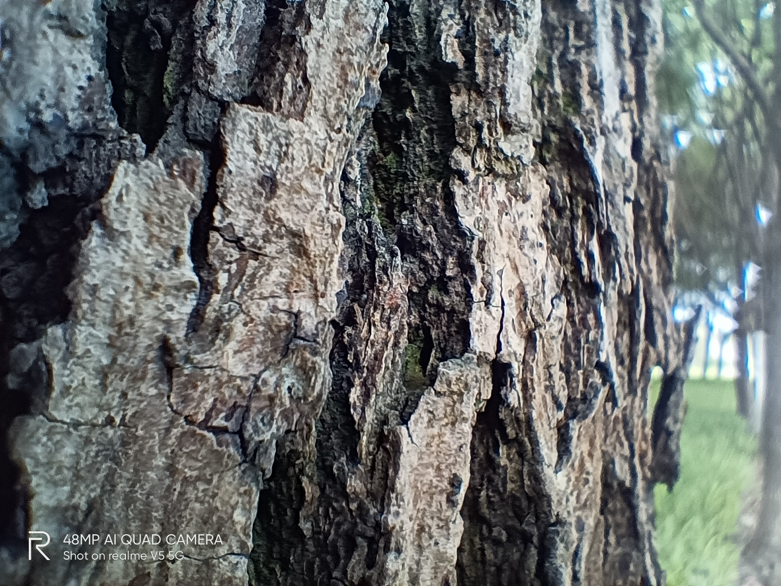 realmev5缺点与不足,realmev5评测