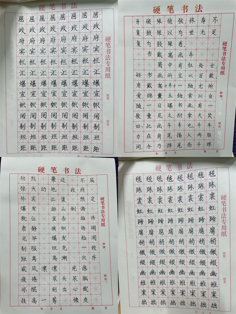 小学假期作业展美篇,小学生寒假实践作业展美篇