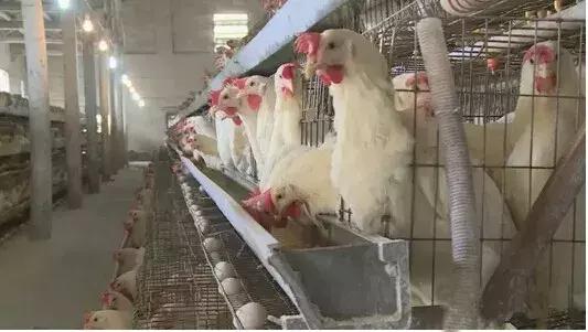 315曝光的黑心商家怎么处理呢,315给无良商家的警告