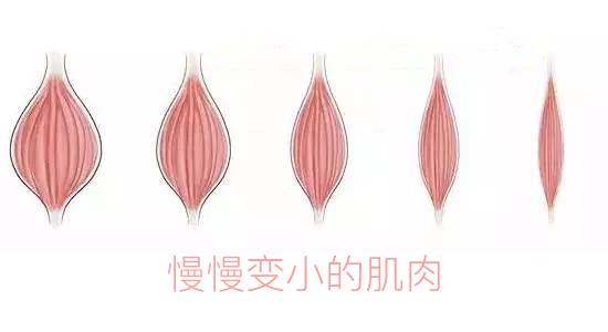 打瘦脸针真的会垮吗,打瘦脸针真的会垮脸吗