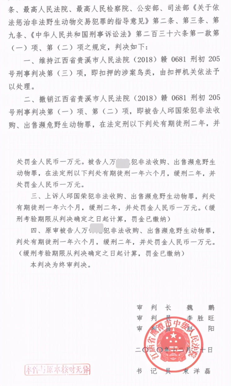江西鹦鹉案终审宣判，首次认定收购出售人工繁育鹦鹉不构成犯罪，涉案男子3年负债累累身心俱疲提到鸟就来气