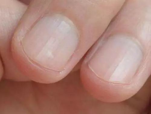 春天睡前吃什么汤养肝护肝,春天调理肝喝什么炖汤