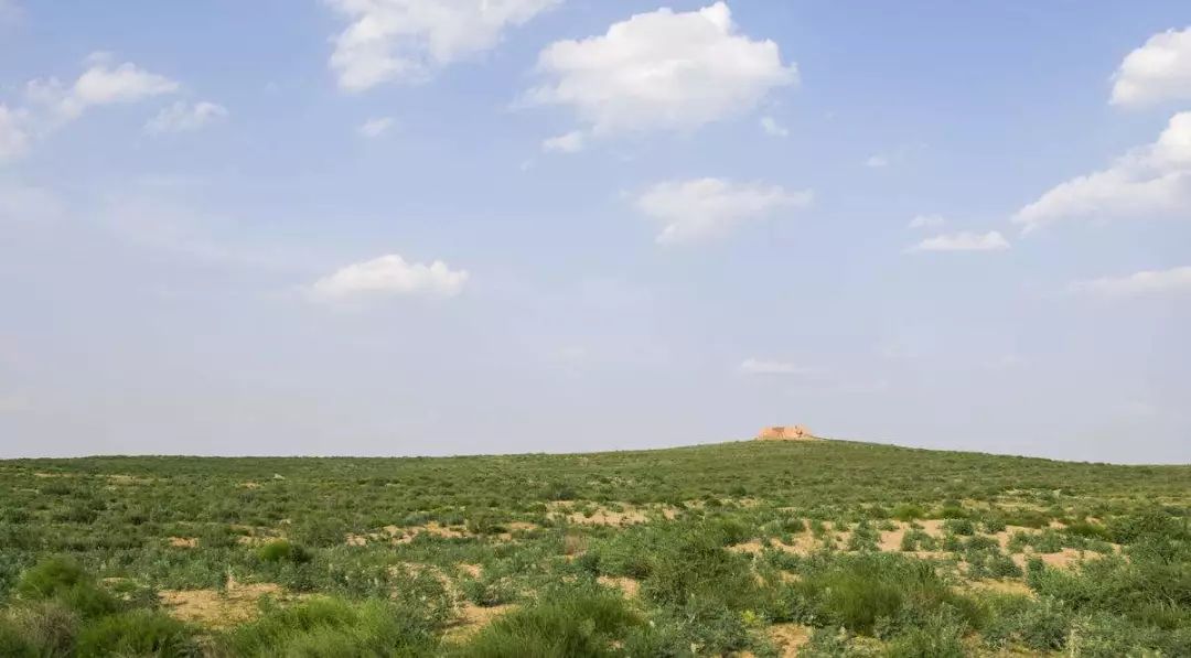 绥德羊杂碎和榆林羊杂碎哪个正宗,宁夏羊杂碎和新疆羊杂碎哪个好