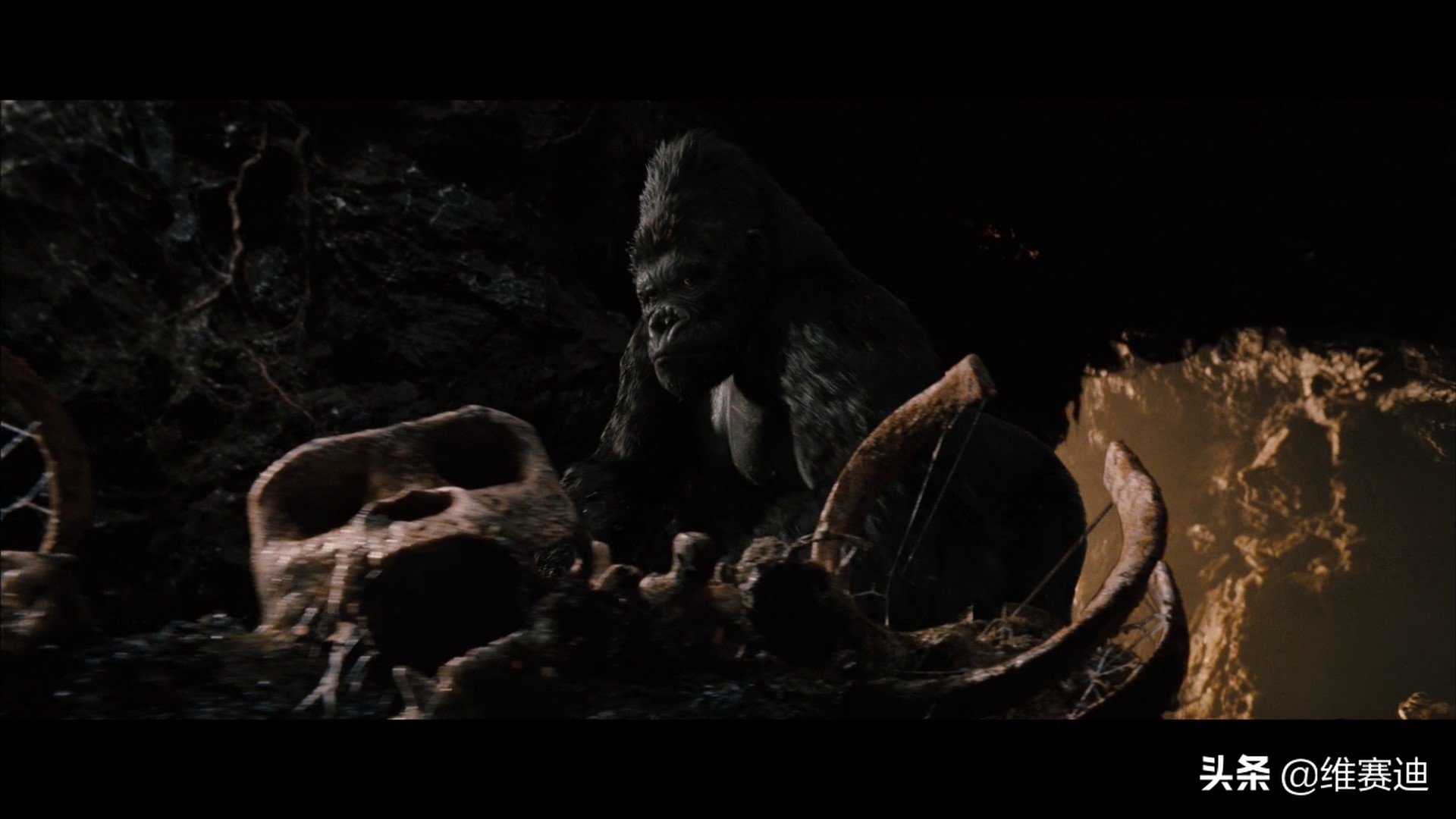 金刚电影各种怪兽排名,金刚骷髅岛大战怪兽电影