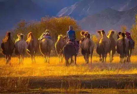 中国国家地理十大最美秋色,寻找中国最美自驾游