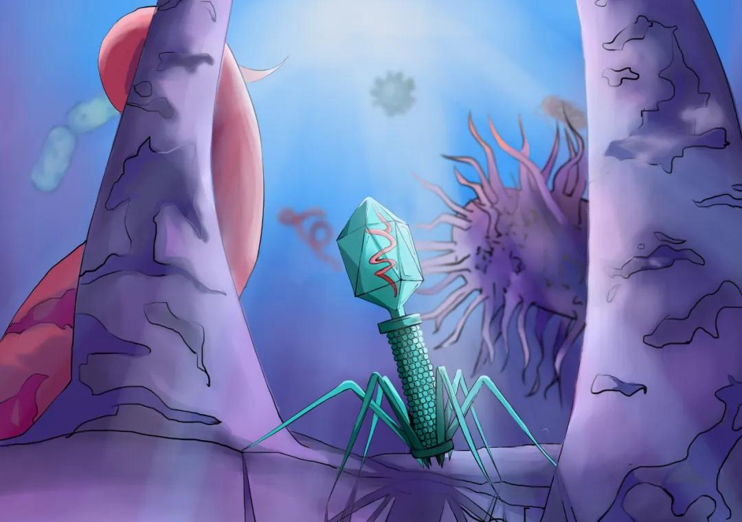 生命的故事绘本电子版,生命的故事图片