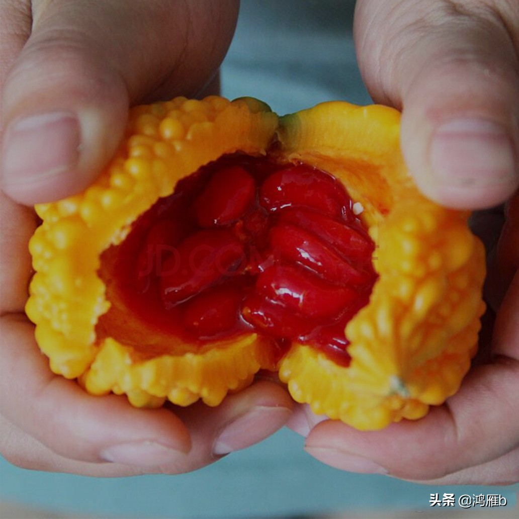 您认识这是什么，能叫出它的名字吗？