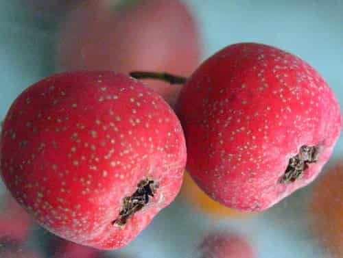 产后做好五件事让老公对你爱不完,产后最应该做的几项康复