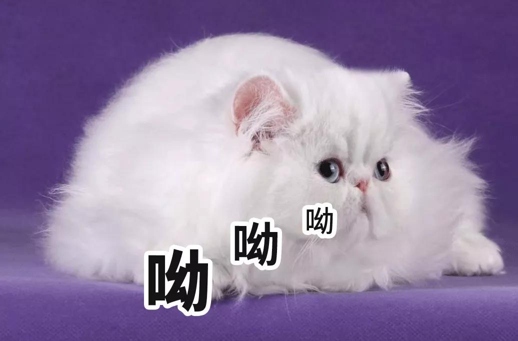 同样是线上恒大卖房子可以红星卖家具为什么就不行？