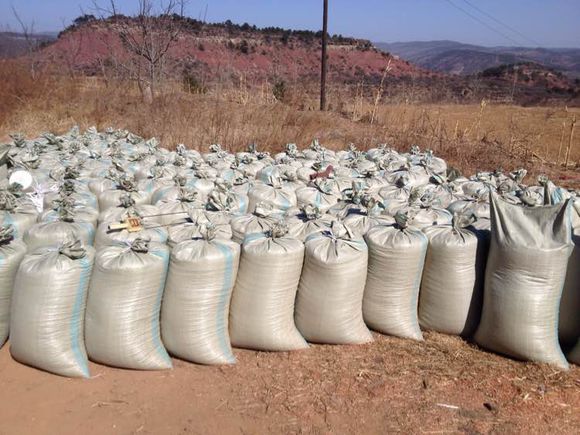 农村目前最有发展空间致富项目,农民工回乡创业有什么项目