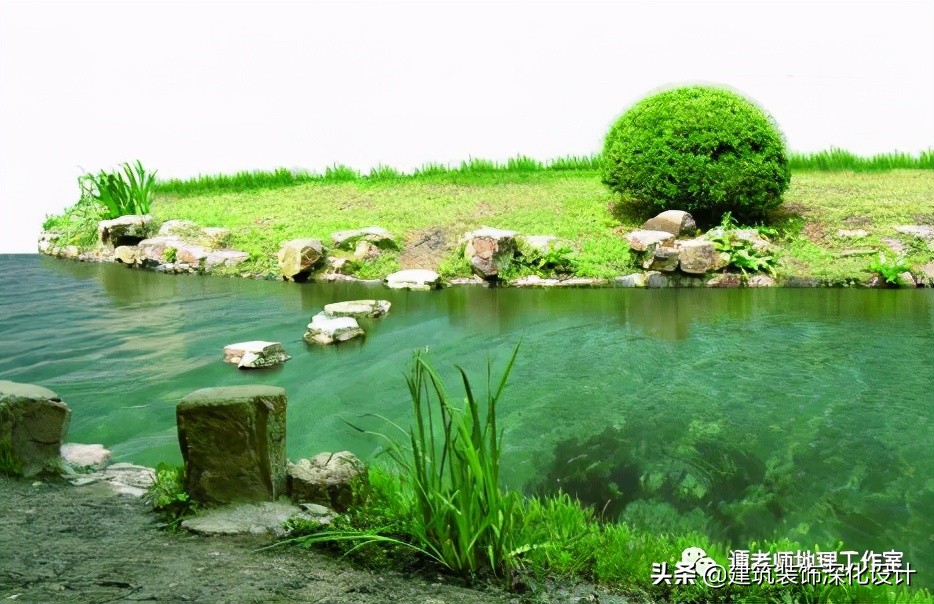 滨水生态景观修复案例图片,河流景观生态修复案例