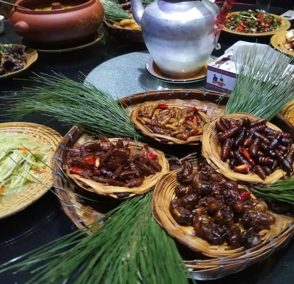 没有吃过的特色美食,地方奇葩特色美食