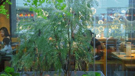 东城万达今天营业吗,万达排队店