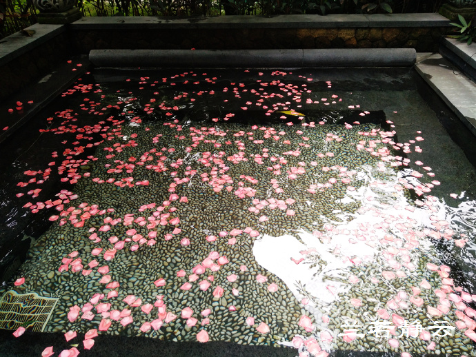 厦门日月谷温泉酒店预订价格,厦门日月谷温泉酒店套餐