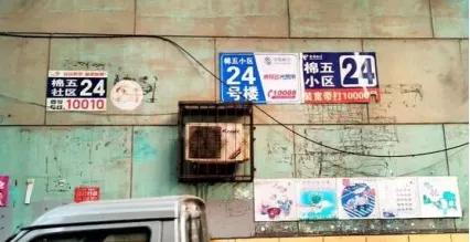 棉五老照片,棉五回忆