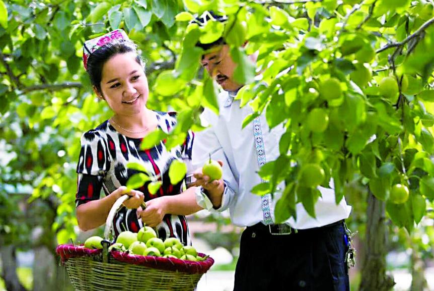 经常抽烟的人吃什么水果好,抽烟吃什么水果清肺