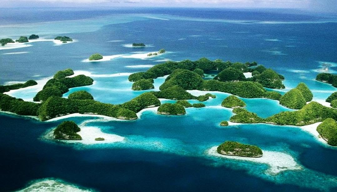 百岁老龟成功拯救物种,雄龟50年繁育800只幼龟