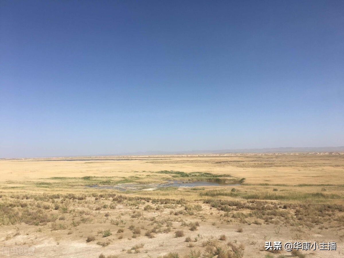 古诗《凉州词》原文注释、译文赏析,附《跟康爸学古诗》朗诵视频