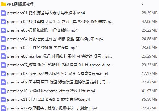 pr怎么制作抖音竖屏全屏画面,pr全套视频教程
