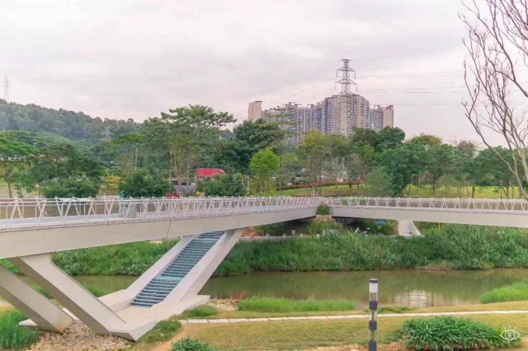 深圳免费景点好玩排名,深圳这些新公园免费玩