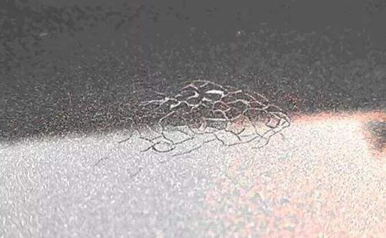 我罩你|爱车防晒,惠有妙招