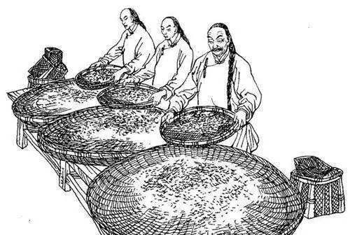 疫情过后小众品牌会怎么样,疫情过后中国品牌怎样发展