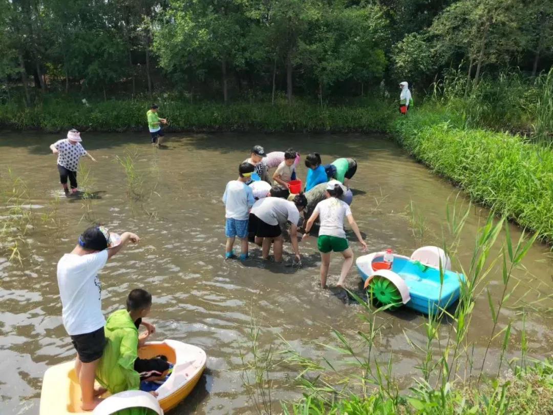 盘锦大洼区旅游攻略,盘锦大洼旅游