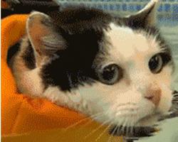 儿童花钱学游泳有必要吗,孩子学游泳需要买什么