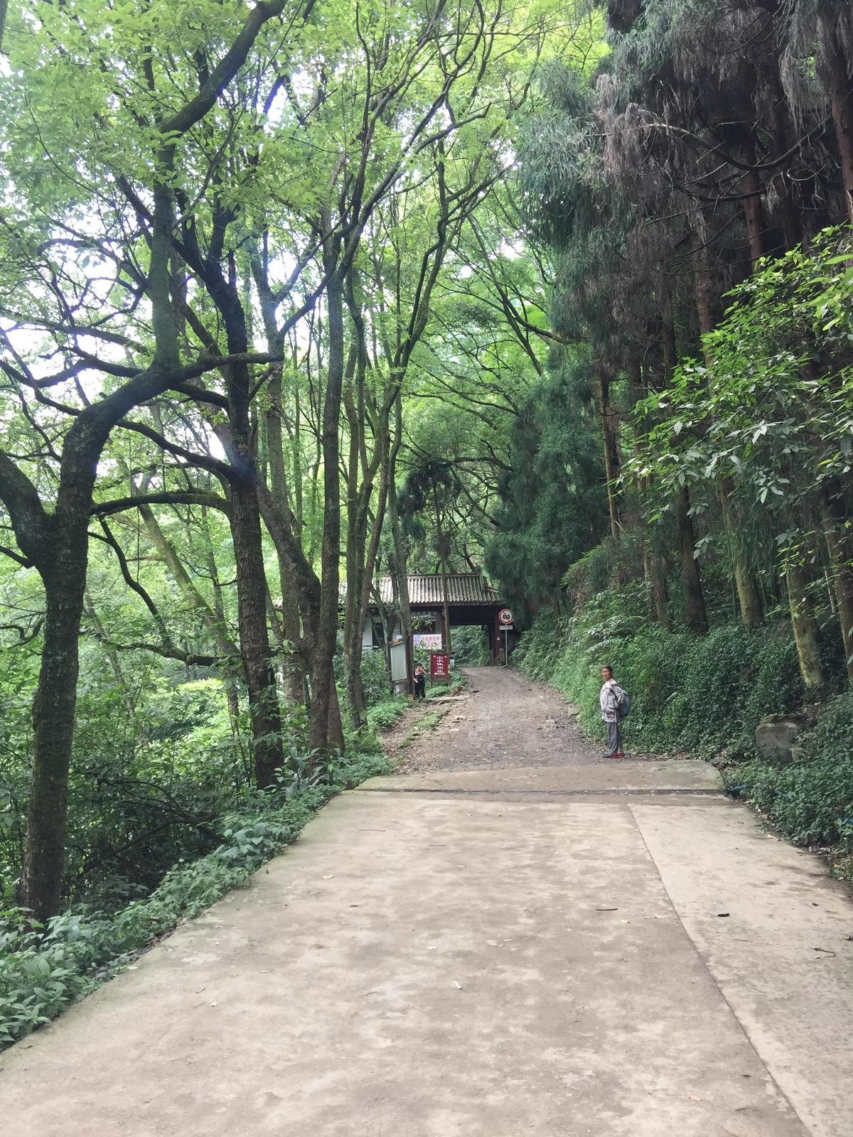 峨眉山登顶佛像,峨眉山登顶记完整版