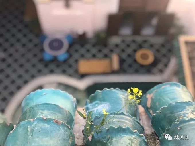 15天快速减肥10斤懒人,摩洛哥12天瘦5斤减肥成功案例