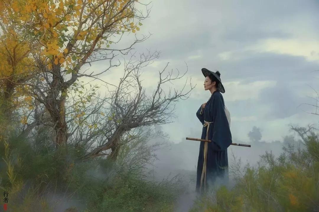 路遥知马力日久见人心是谁写的,路遥知马力日久见人心是谁说的