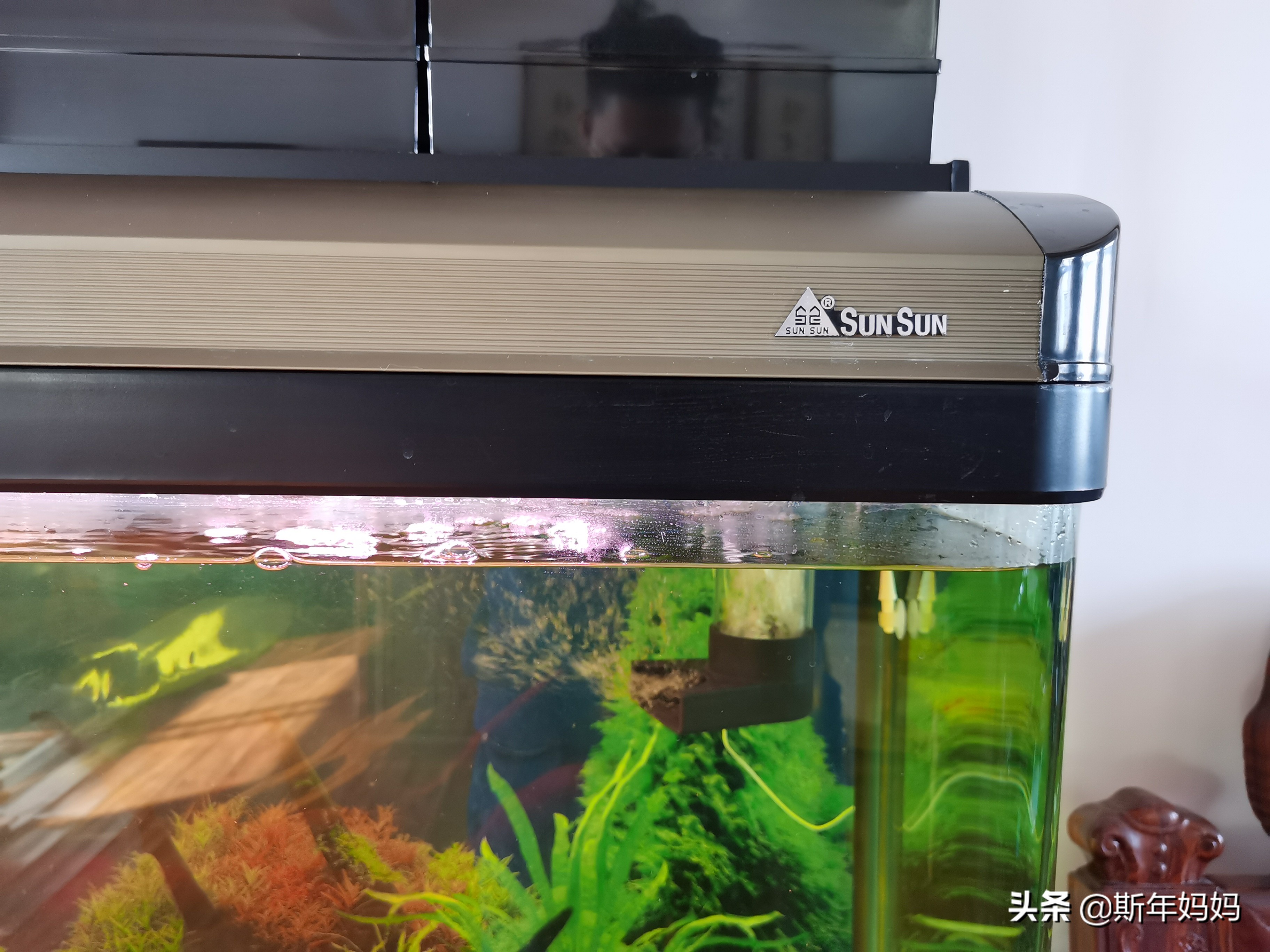 森森鱼缸改上滤滴流盒,森森老款1.8米鱼缸底滤改造