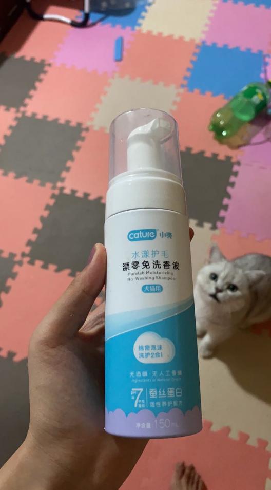 猫咪毛囊炎是怎么治疗,猫咪毛囊炎检查什么项目