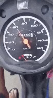 这只鹦鹉一直以为他是一只猴,所以每天都在重复做这个动作