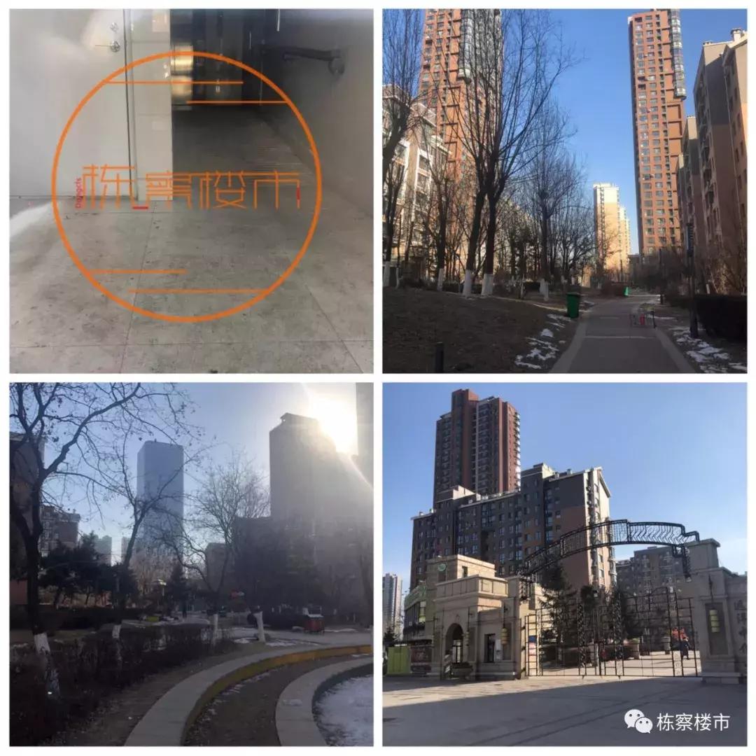 长白岛学区房都有什么学校,你真了解塞班吗