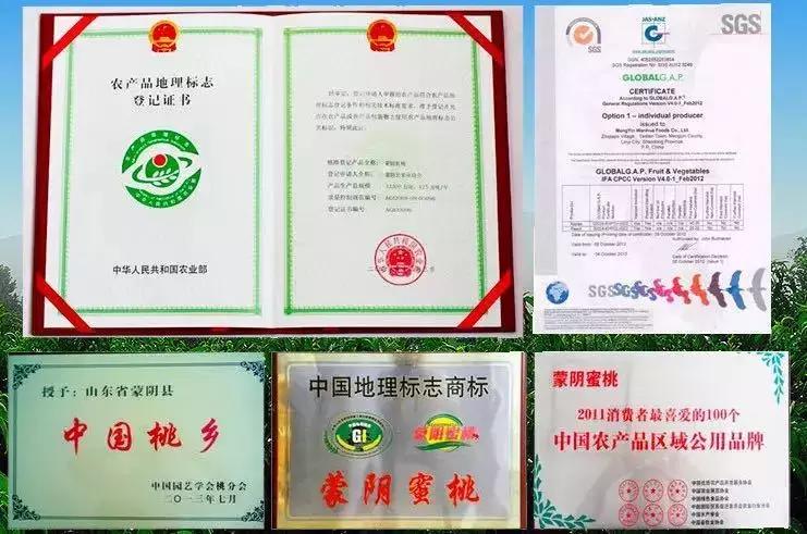 不是仙桃，胜似仙桃！甜、香、鲜的桃界新宠，老人小孩超爱吃