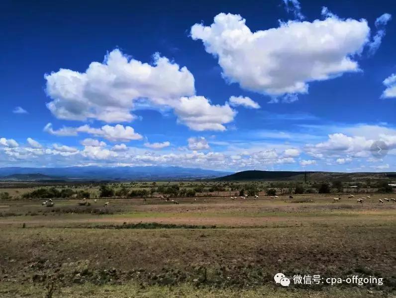 这个野奢的国度，欧美、日韩人都爱去，为何我们国家没人去？