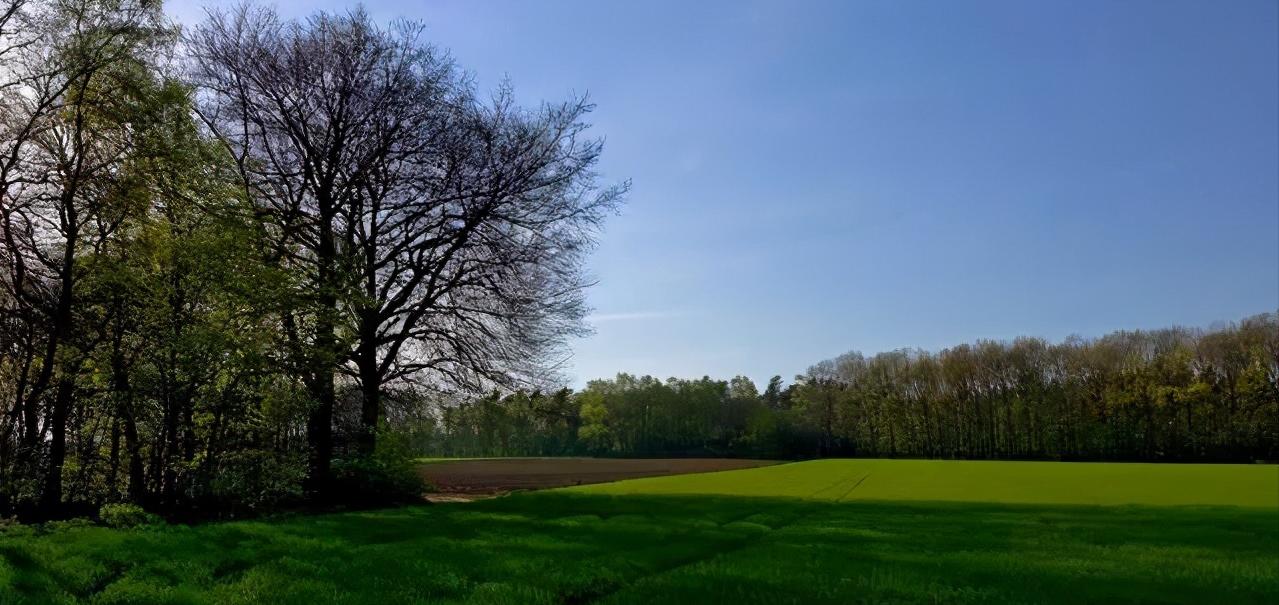 中药为什么能治病原理,中药为何有效果