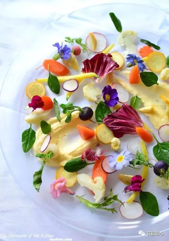 可以食用的花可制作的美食,100种可食用花的做法