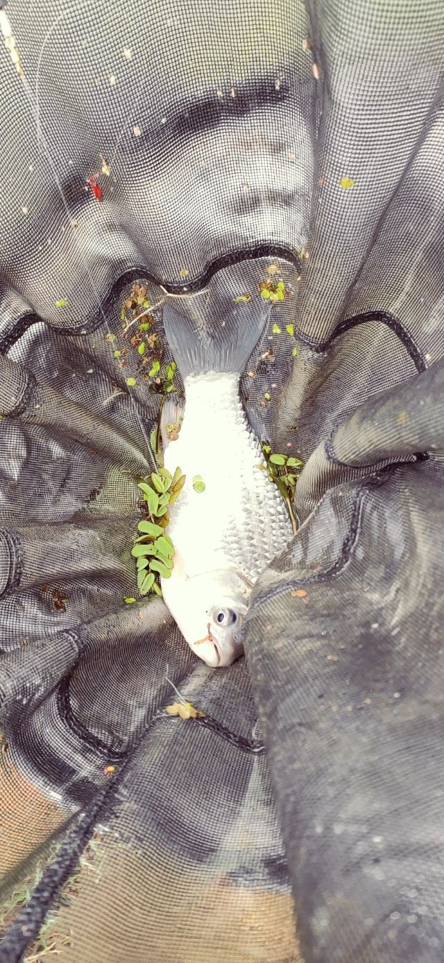 钓鱼新手入坑指南,新手钓鱼入坑建议路滑吗