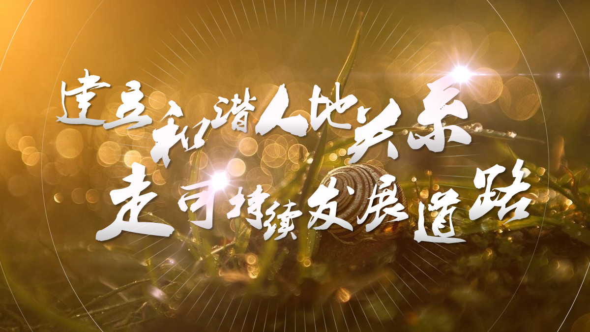 ​「课件类PPT」怎么做才好看？我修改了6页PPT，总结了7个技巧