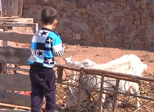 重病小男孩急需送医救治,男孩得怪病四处求医