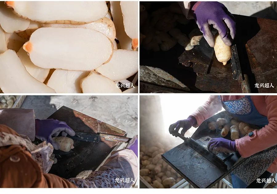 贵州的道地药材天麻,天麻属于哪里的道地药材